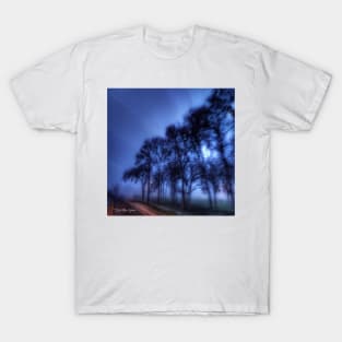 Shadows And Tall Trees T-Shirt